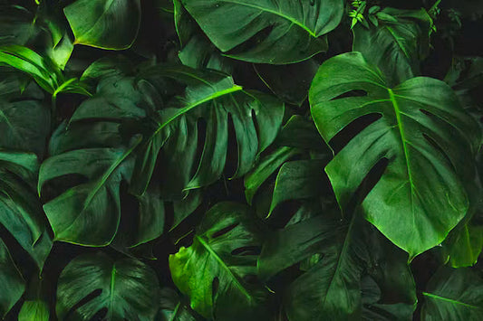 Is Plant-Based Leather Durable? An Honest Answer